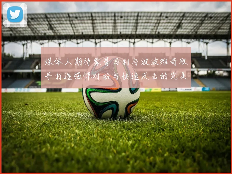 媒体人期待蒙哥马利与波波维奇联手打造强悍对抗与快速反击的完美结合